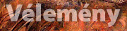 V�lem�ny